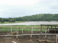 jan 2009